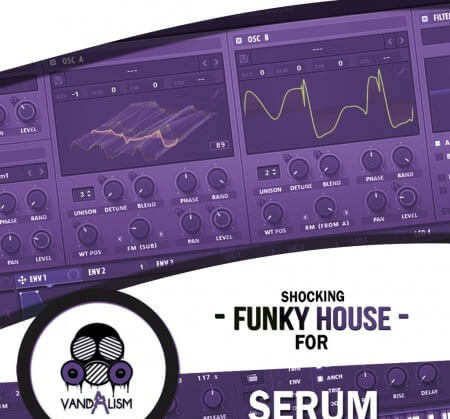 Vandalism Sounds Shocking Funky House For Serum Synth Presets
